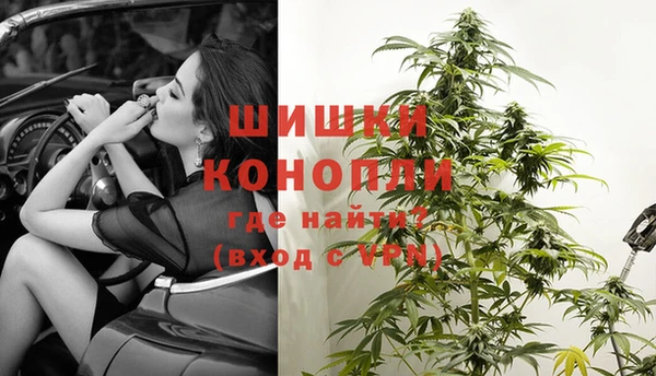 винт Дмитриев
