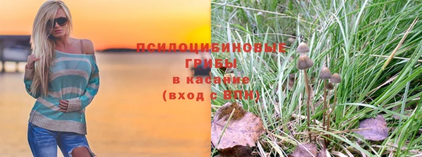 винт Дмитриев
