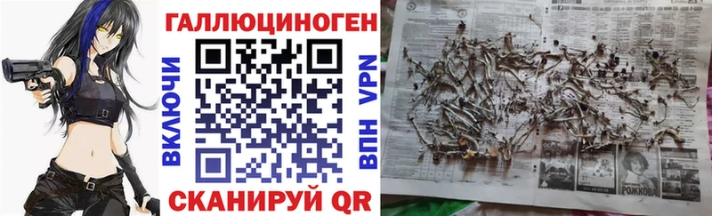 omg зеркало  Первомайск  Псилоцибиновые грибы MAGIC MUSHROOMS  хочу  