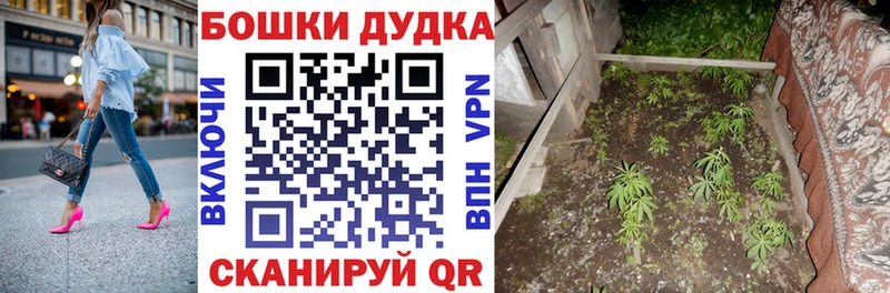 Каннабис конопля Первомайск